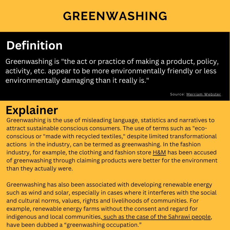 Greenwashing Slide