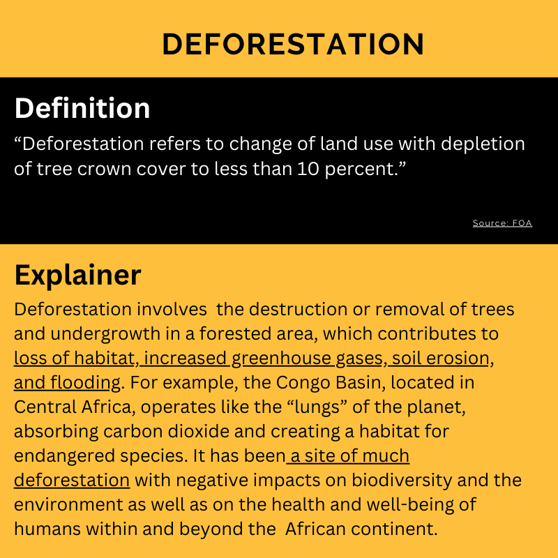 Deforestation